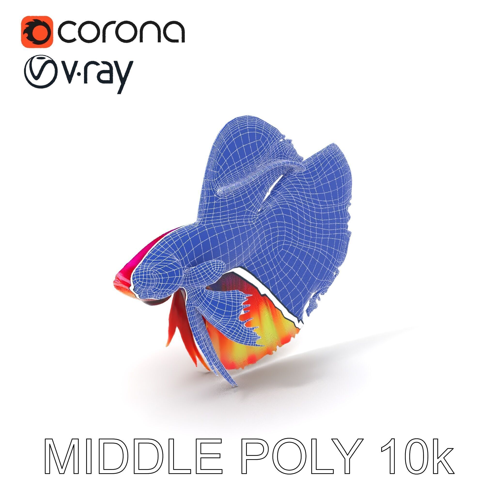 Vibrant Betta Fish Model Pack Low-poly 3D model_24