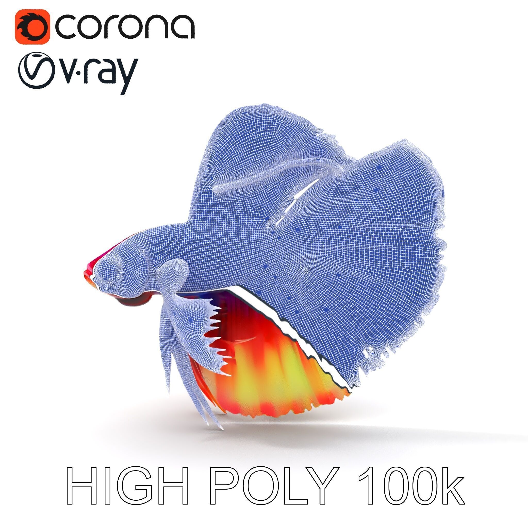 Vibrant Betta Fish Model Pack Low-poly 3D model_20
