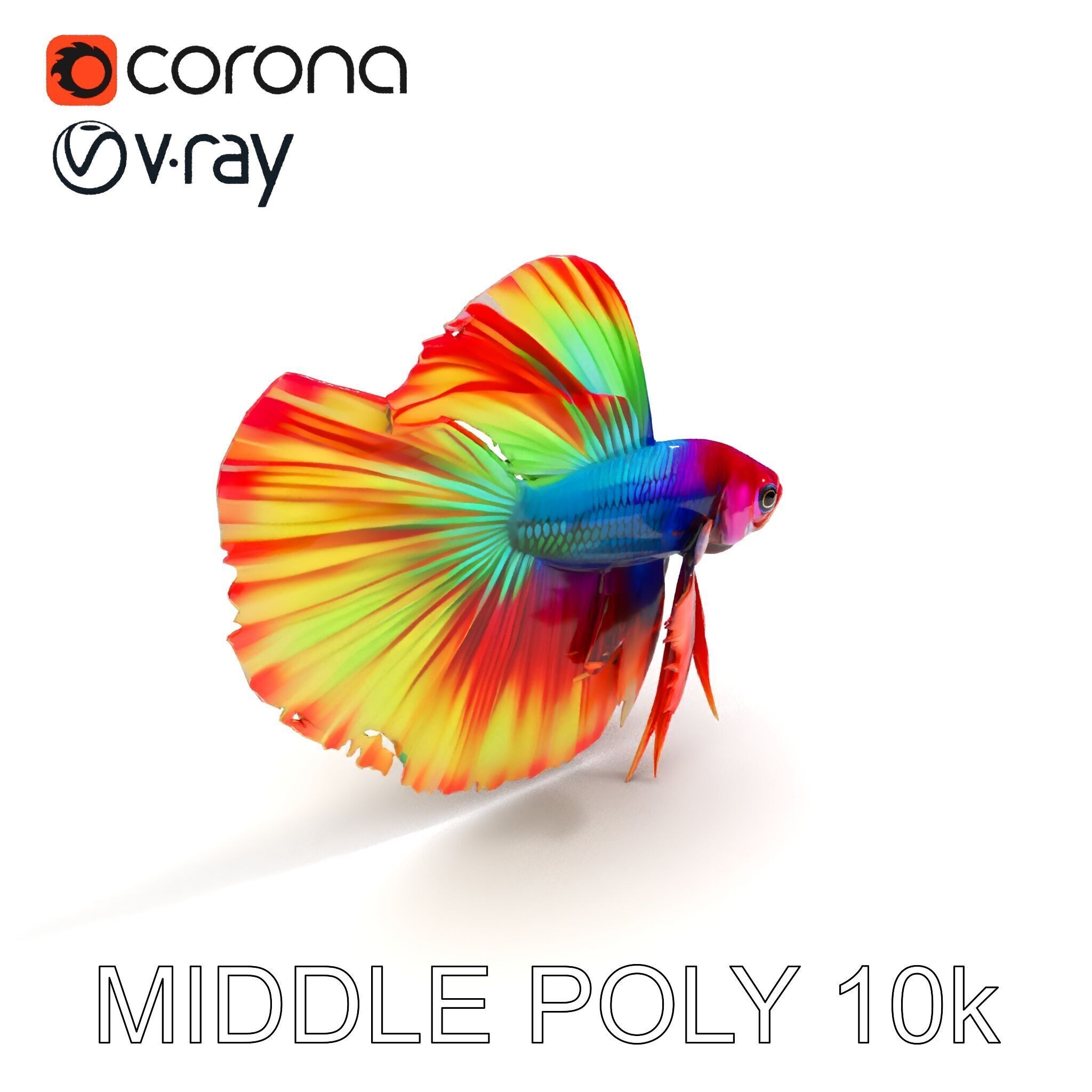 Vibrant Betta Fish Model Pack Low-poly 3D model_6