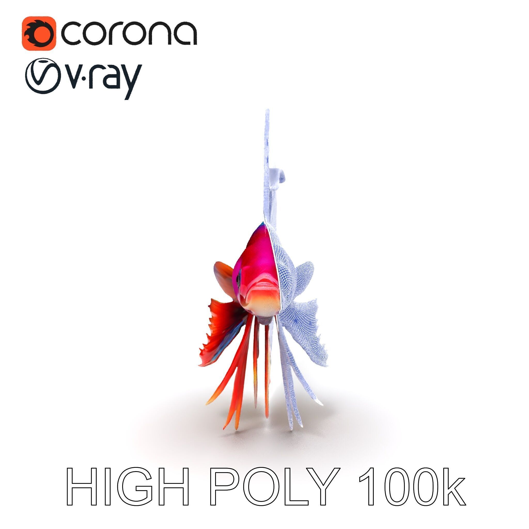 Vibrant Betta Fish Model Pack Low-poly 3D model_35