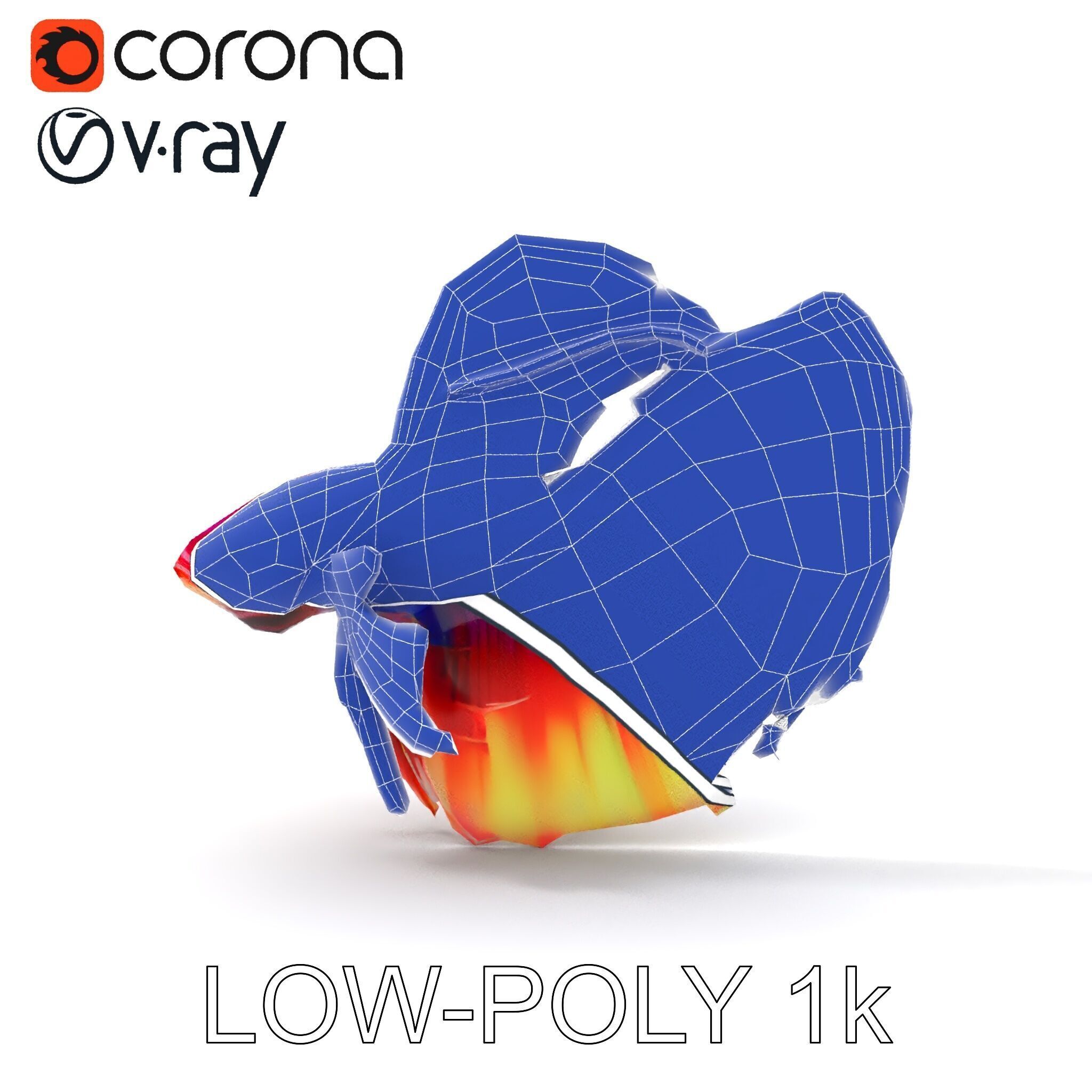 Vibrant Betta Fish Model Pack Low-poly 3D model_33
