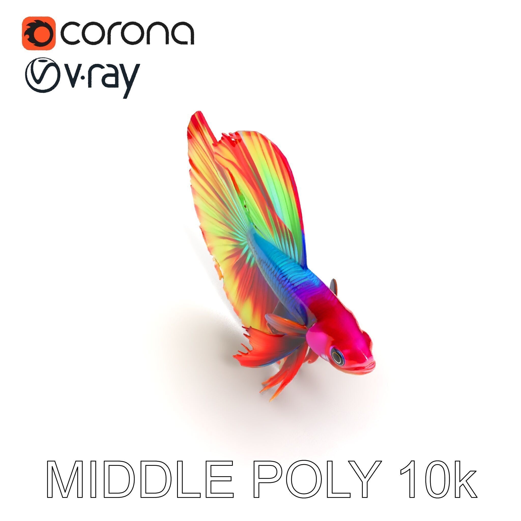 Vibrant Betta Fish Model Pack Low-poly 3D model_21