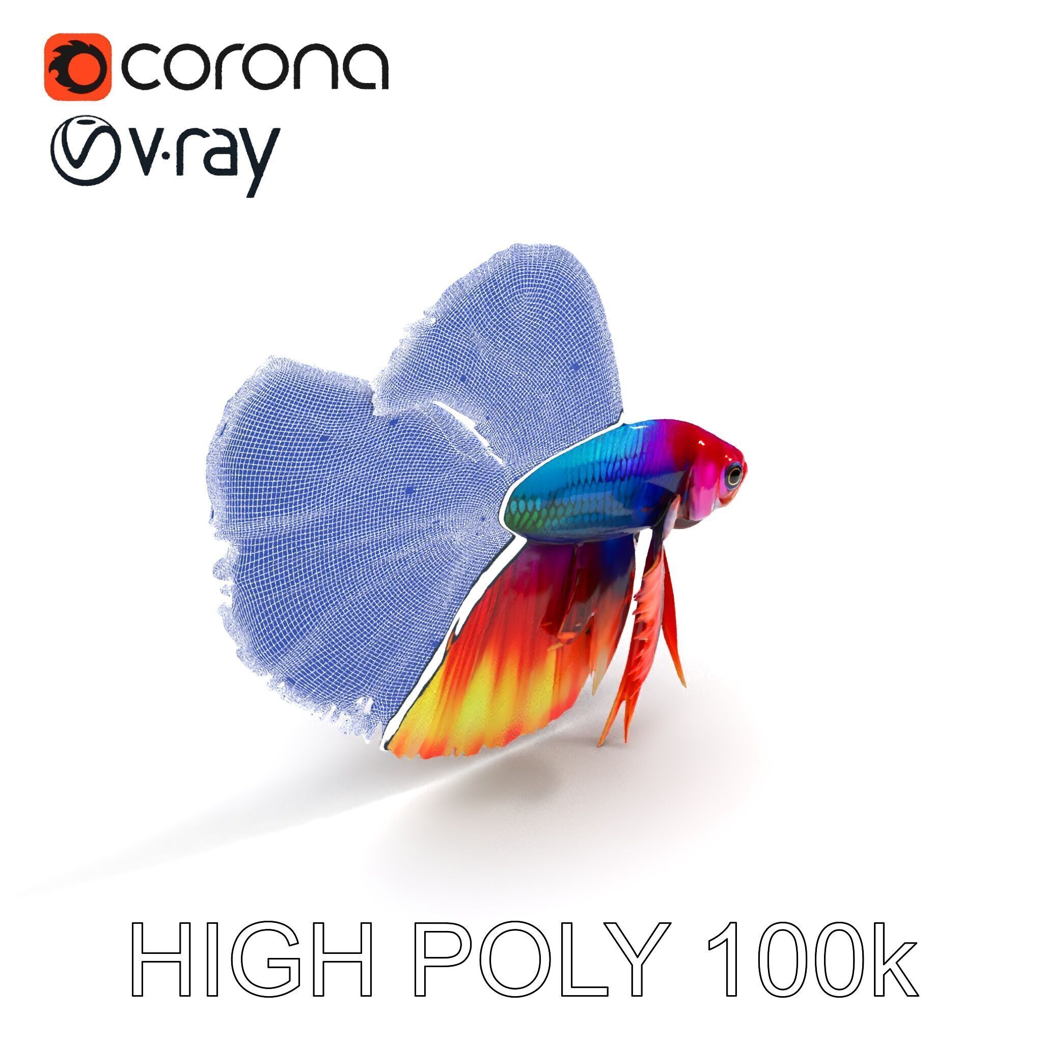 Vibrant Betta Fish Model Pack Low-poly 3D model_34