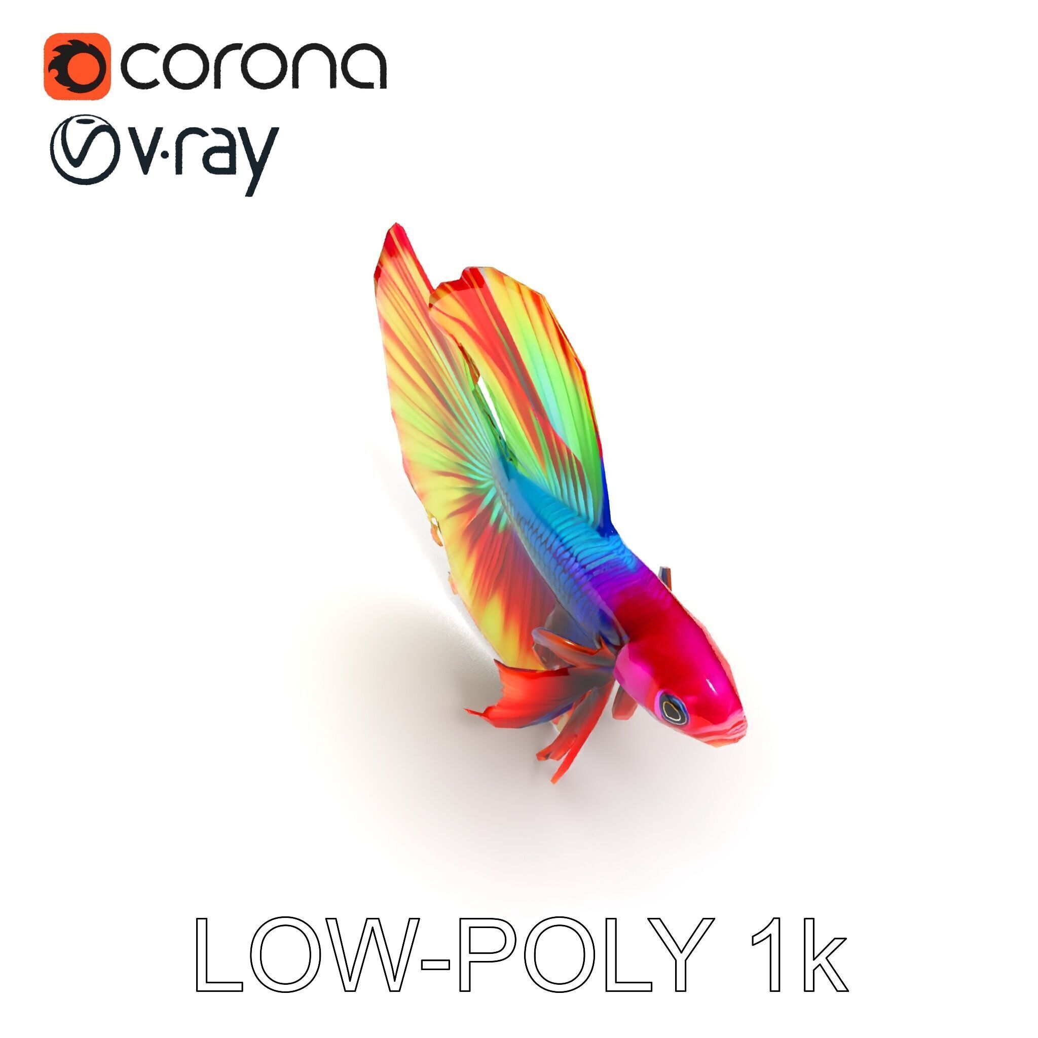 Vibrant Betta Fish Model Pack Low-poly 3D model_9