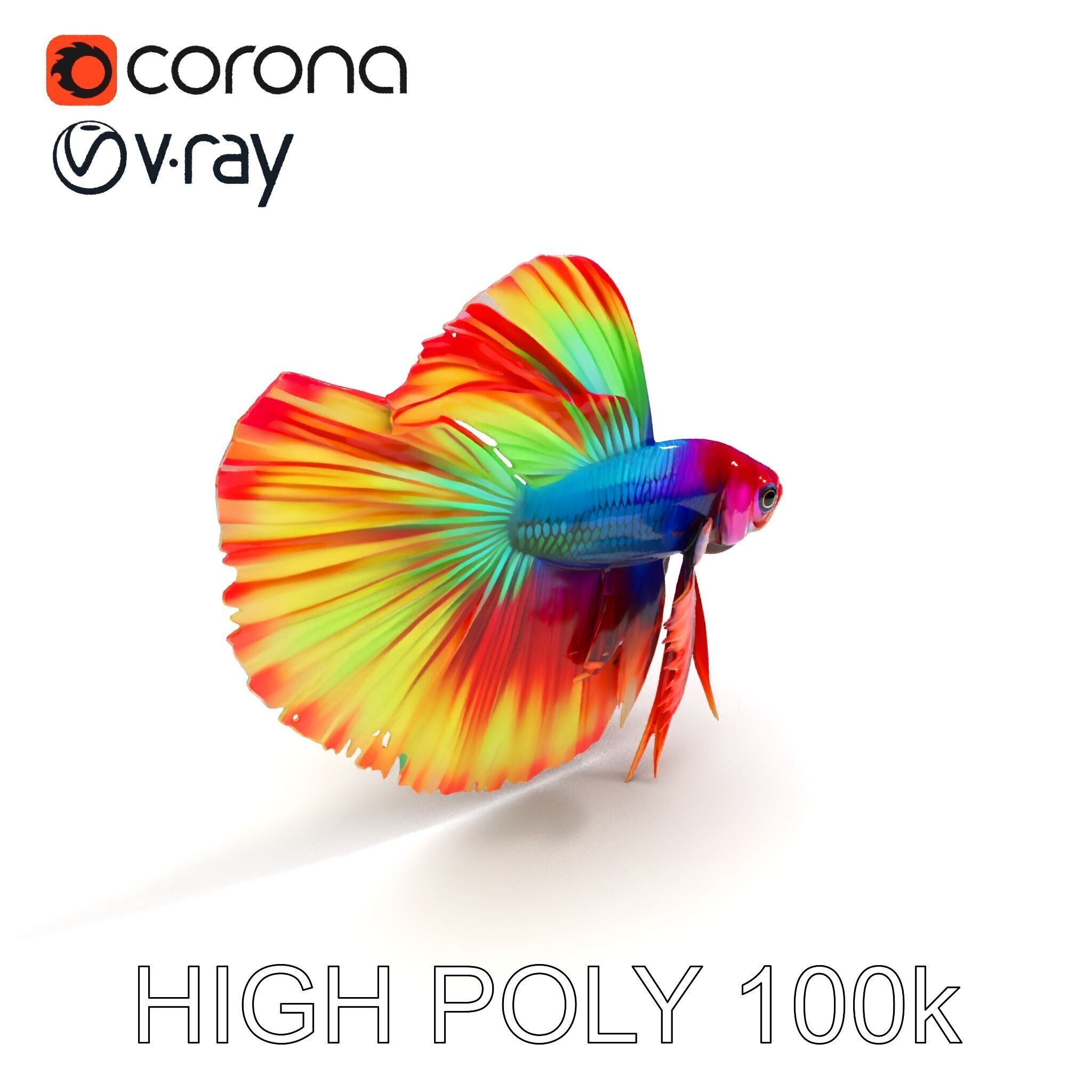 Vibrant Betta Fish Model Pack Low-poly 3D model_17