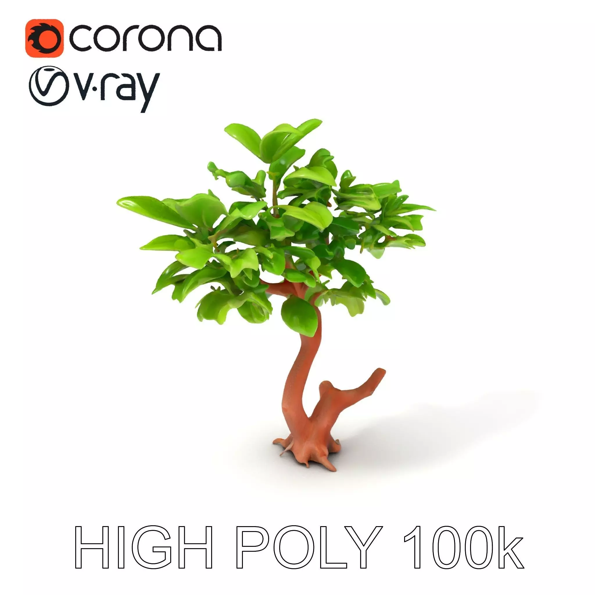 Lush Foliage Tree Model Pack for Realistic Rendering Low-poly 3D model_0