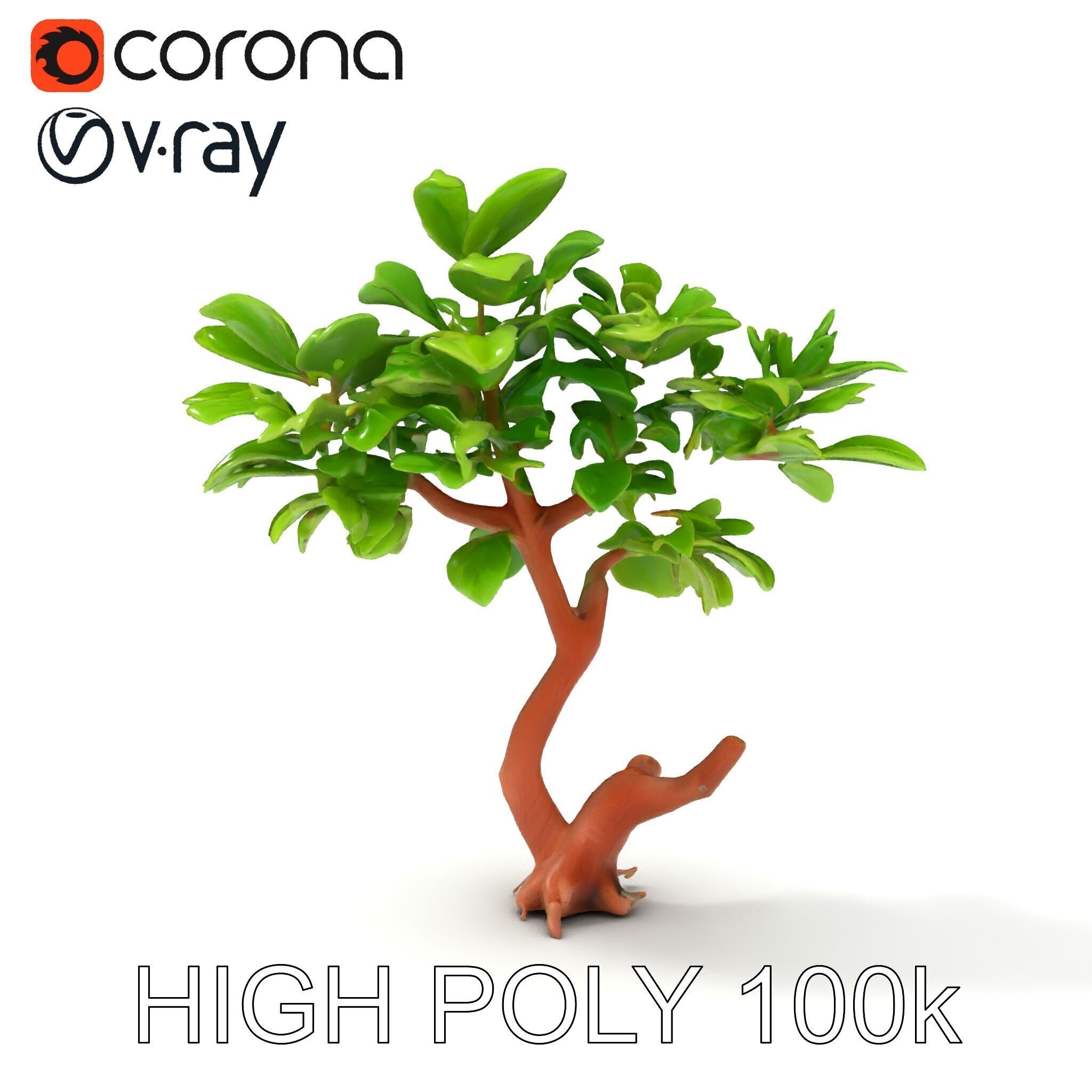 Lush Foliage Tree Model Pack for Realistic Rendering Low-poly 3D model_23