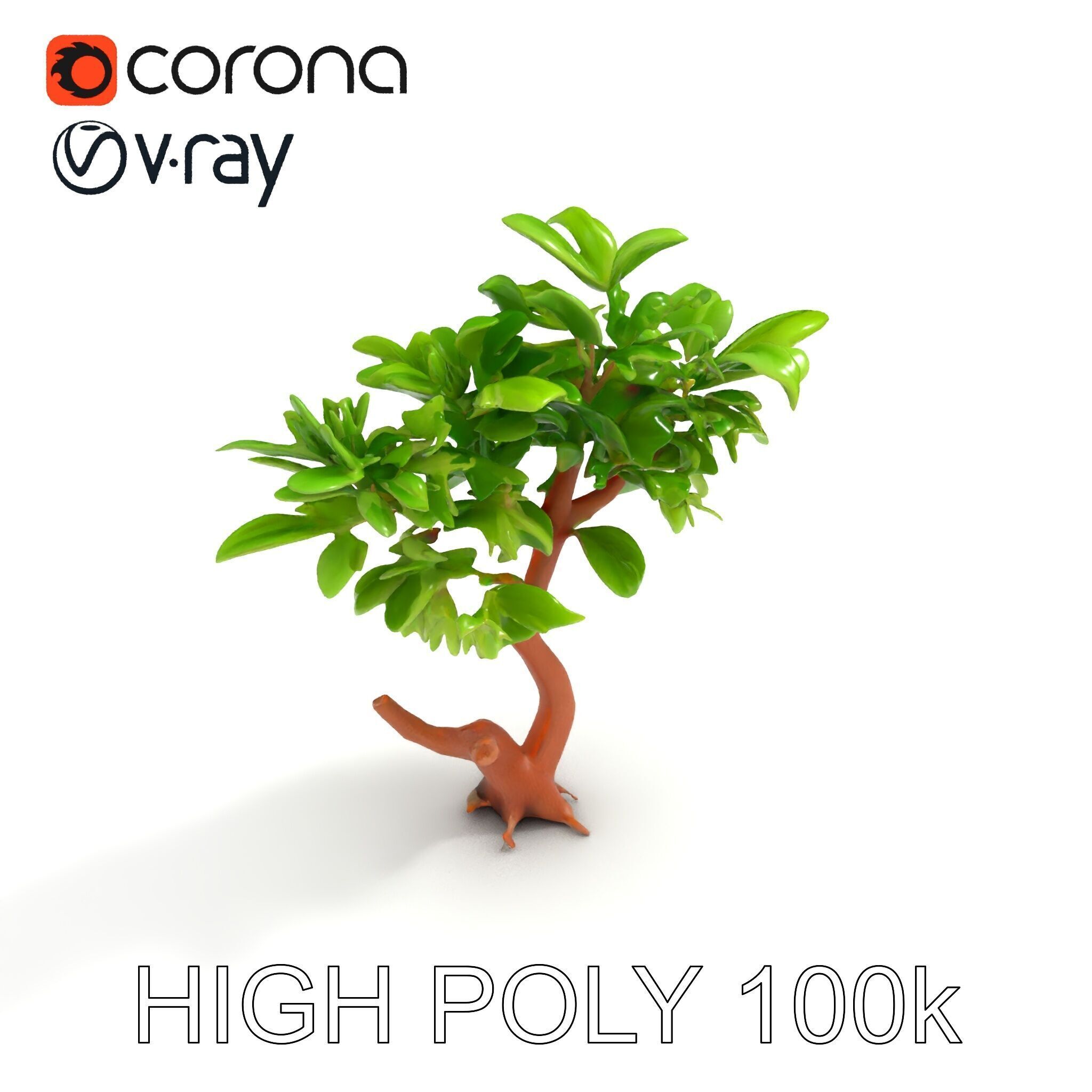 Lush Foliage Tree Model Pack for Realistic Rendering Low-poly 3D model_15