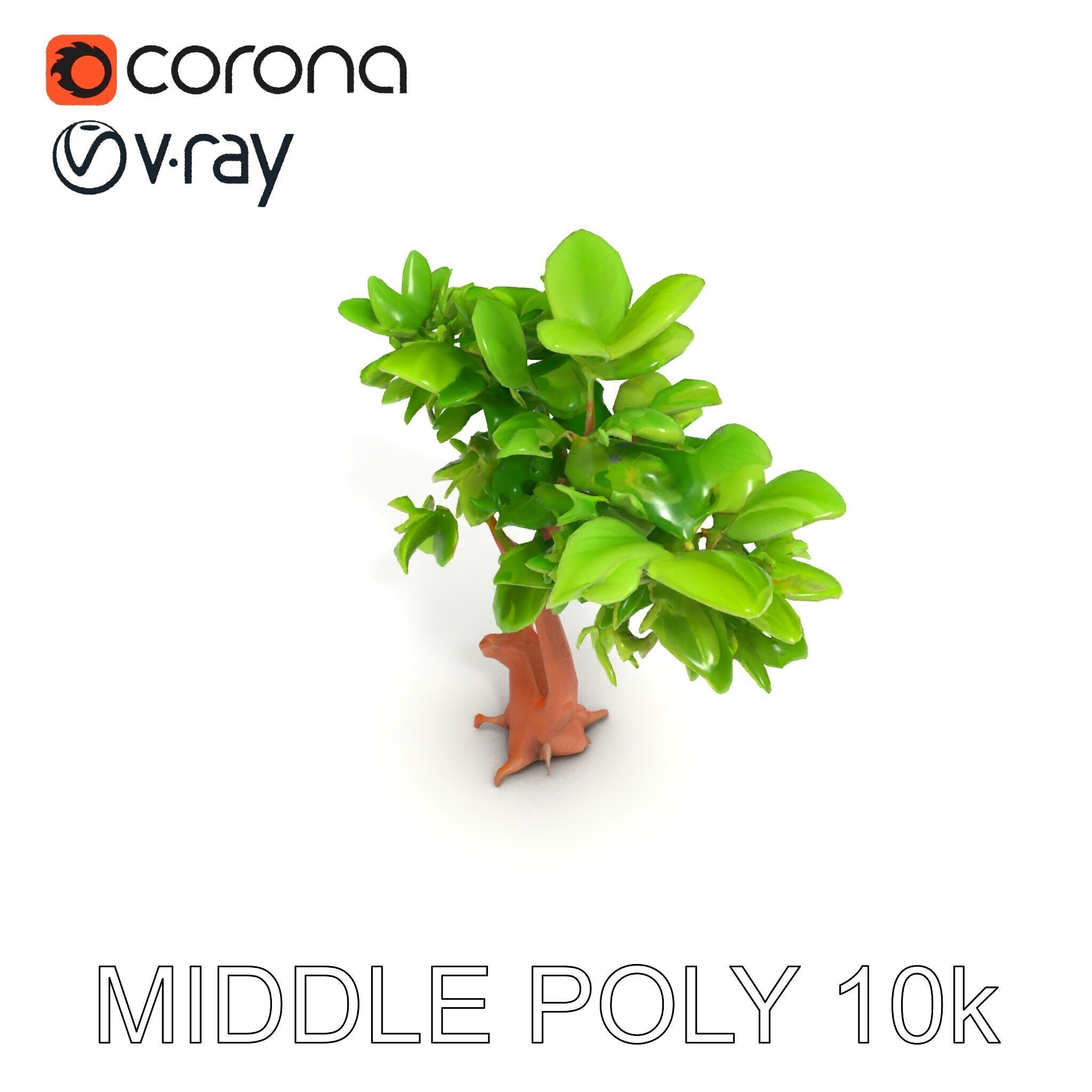 Lush Foliage Tree Model Pack for Realistic Rendering Low-poly 3D model_16