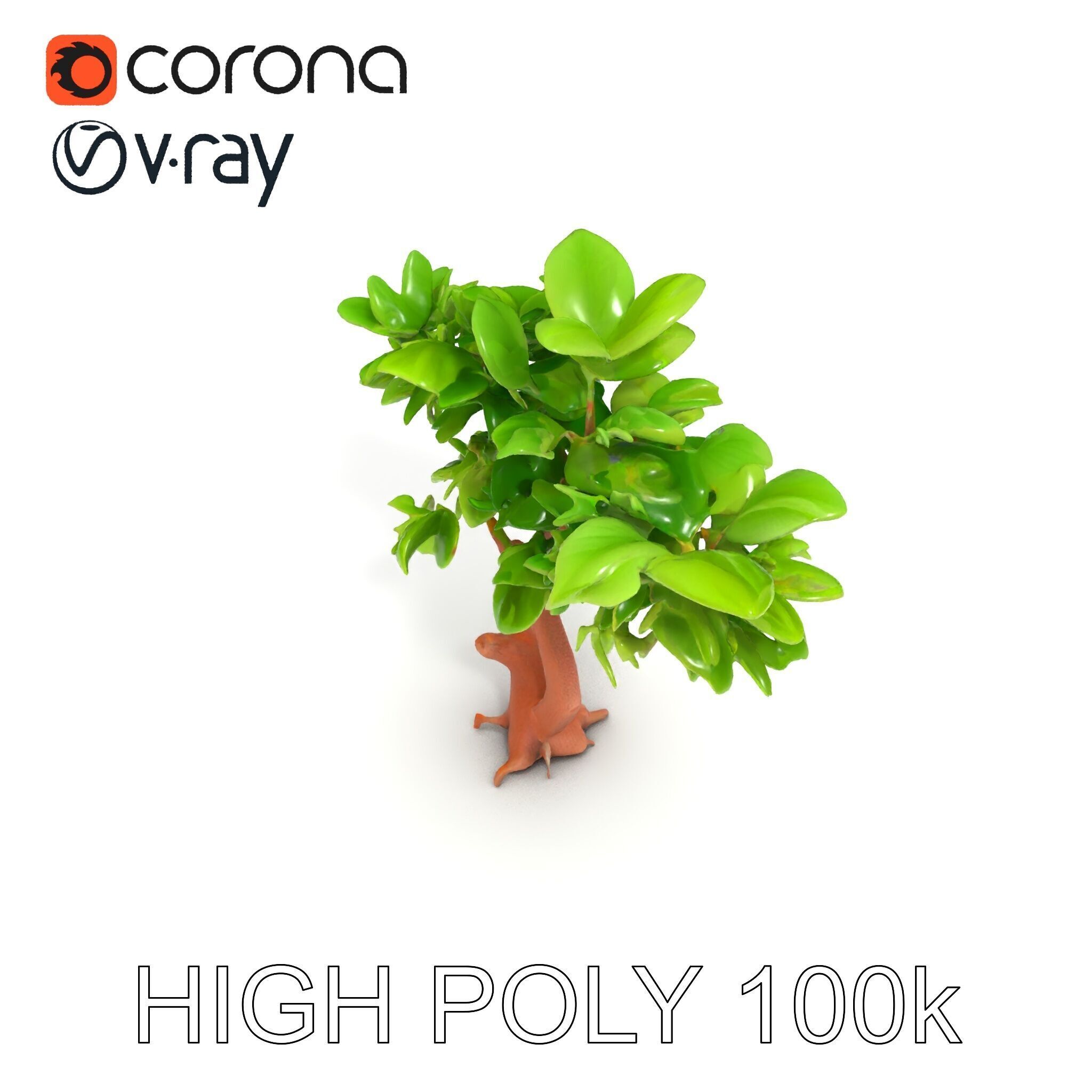 Lush Foliage Tree Model Pack for Realistic Rendering Low-poly 3D model_8