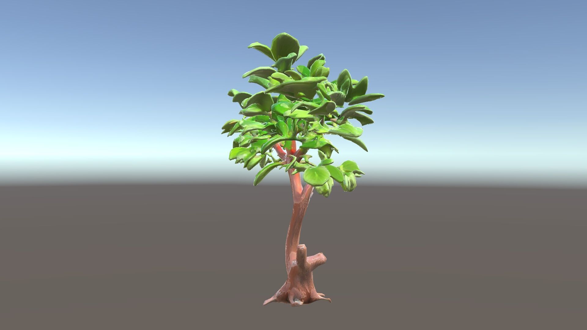 Lush Foliage Tree Model Pack for Realistic Rendering Low-poly 3D model_21