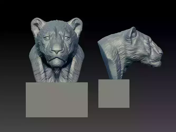 Lion bust - Panthera leo model - 3D print