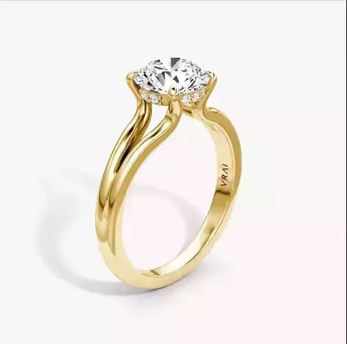 Split Band  Engagement Ring  01