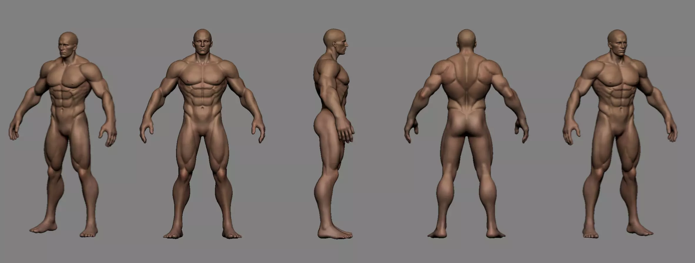 Stylized Male Anatomy Basemesh 3D model_0