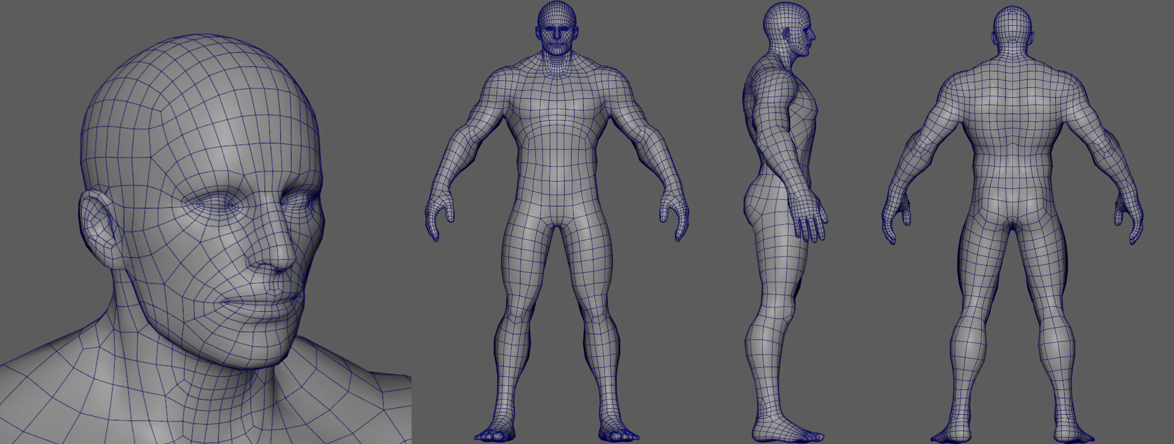 Stylized Male Anatomy Basemesh 3D model_2
