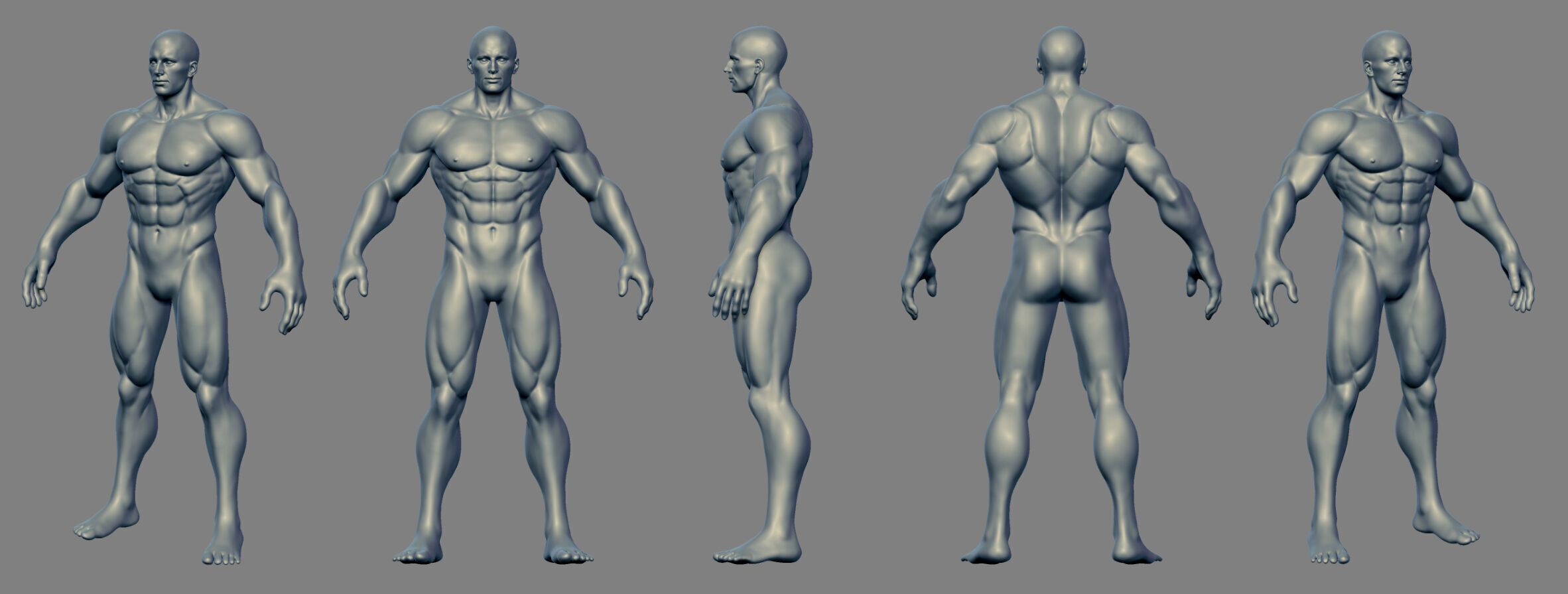 Stylized Male Anatomy Basemesh 3D model_1