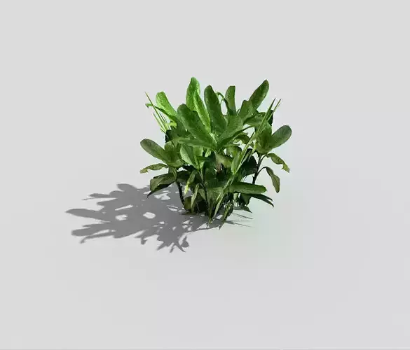 Low poly Plant