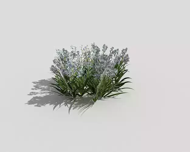 Low poly Plant lavender plants
