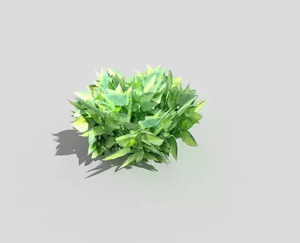 Low poly Plant