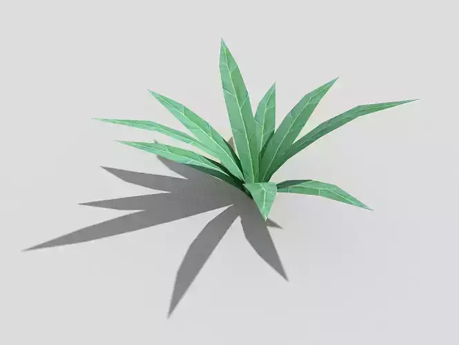 Low poly Plant aloe vera