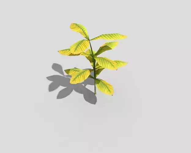 Low poly Plant