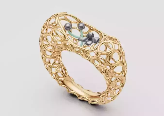 Medinilla magnifica2