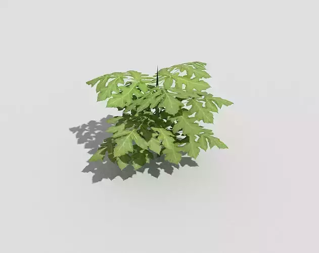Low poly Plant
