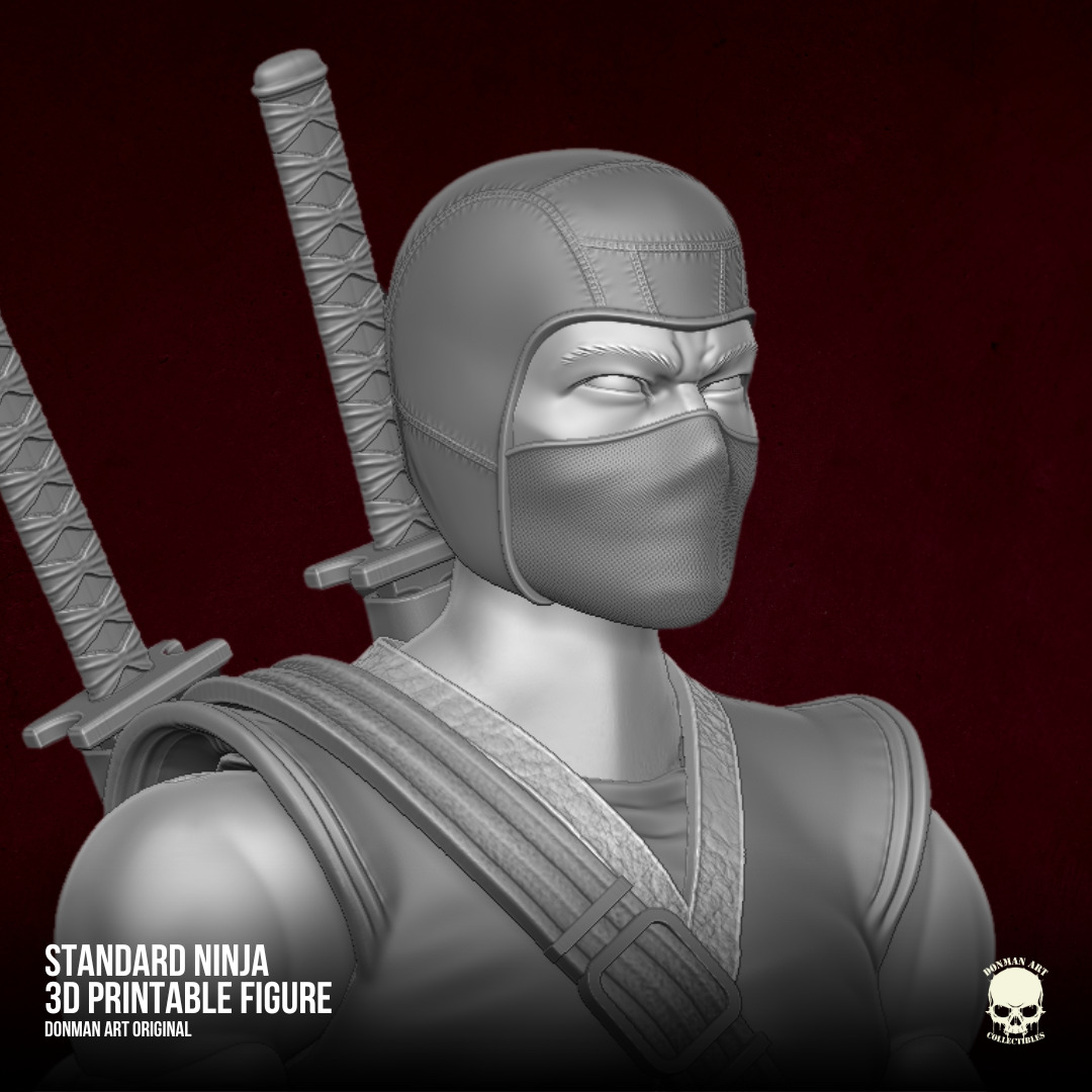 Ninja Standard full Action figure 3D printable Files 3D print model_8