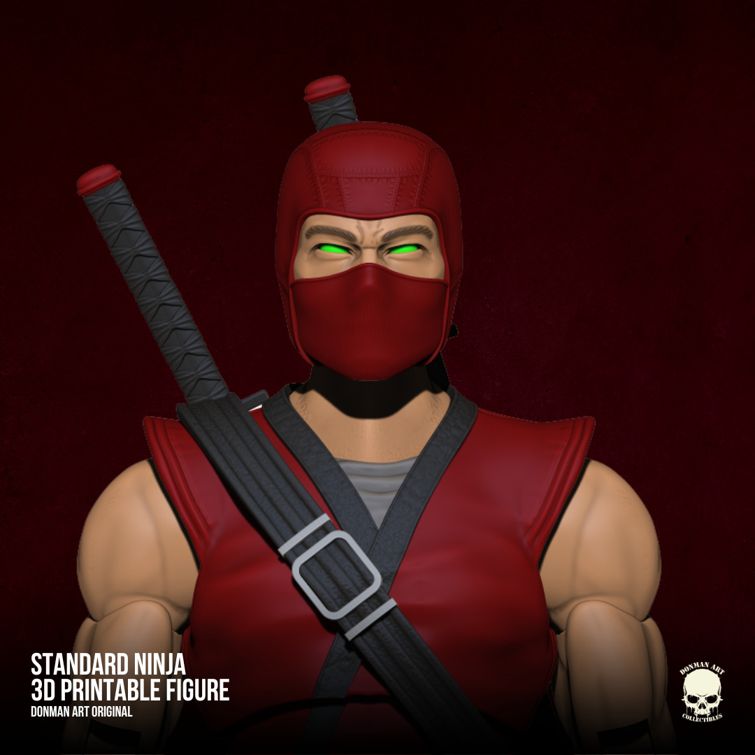 Ninja Standard full Action figure 3D printable Files 3D print model_3