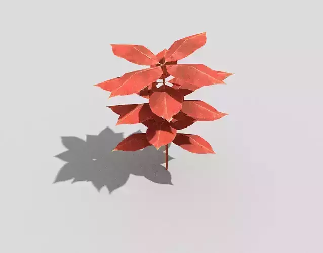 Low poly Plant