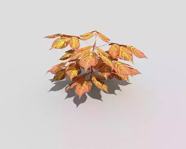 Low poly Plant with orange leaves