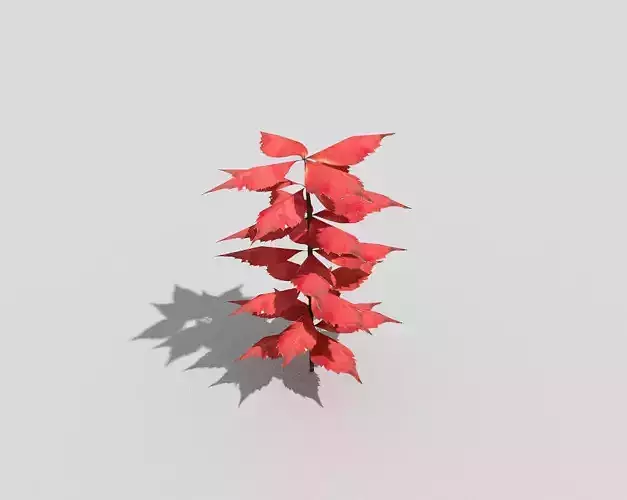 Low poly Plant leaf