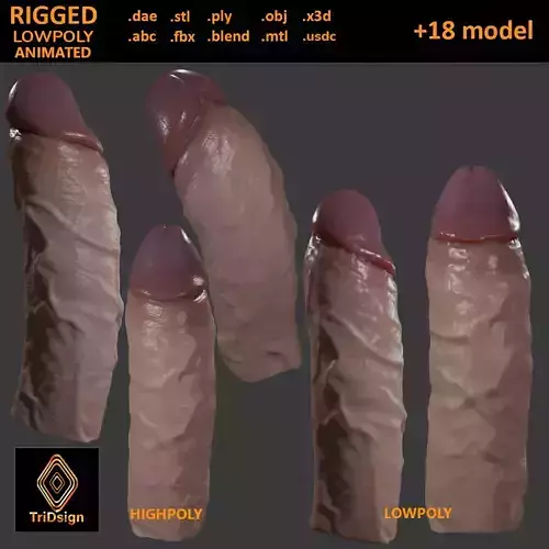 Penis Rigged Lowpoly and Highpoly Low-poly 3D model Penis Rigged Lowpoly and Highpoly Low-poly 3D model