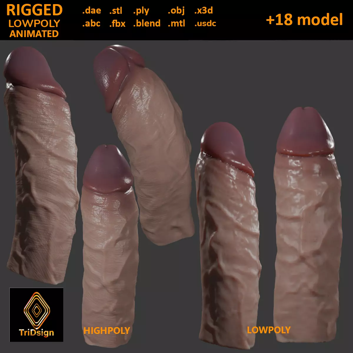 Penis Rigged Lowpoly and Highpoly Low-poly 3D model_0