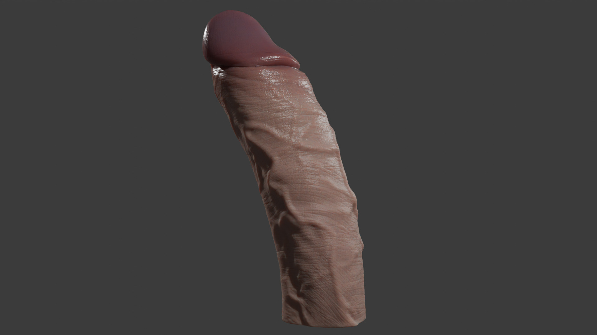 Penis Rigged Lowpoly and Highpoly Low-poly 3D model_2