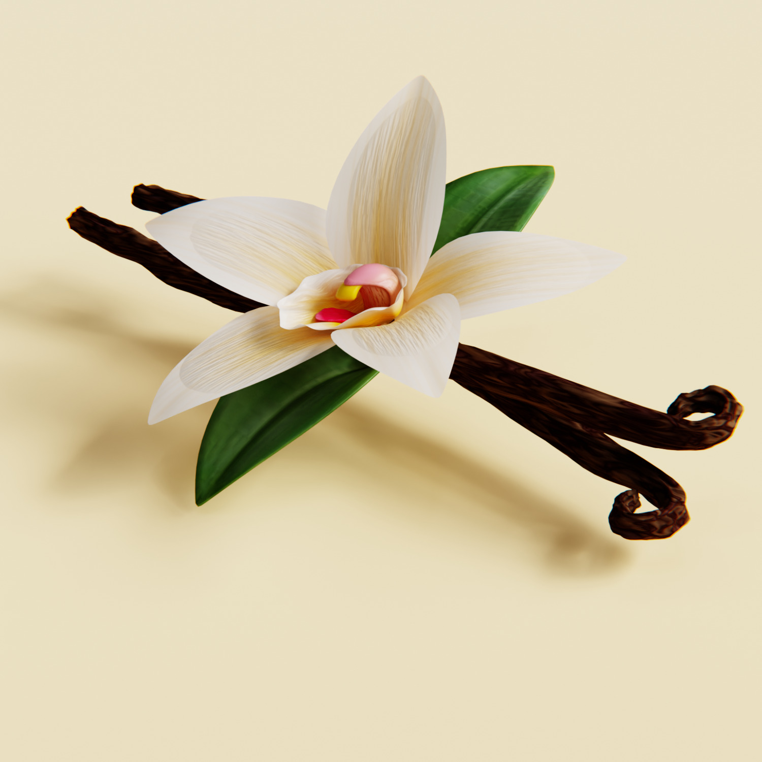 Realistic Vanilla Flower 3D model_3