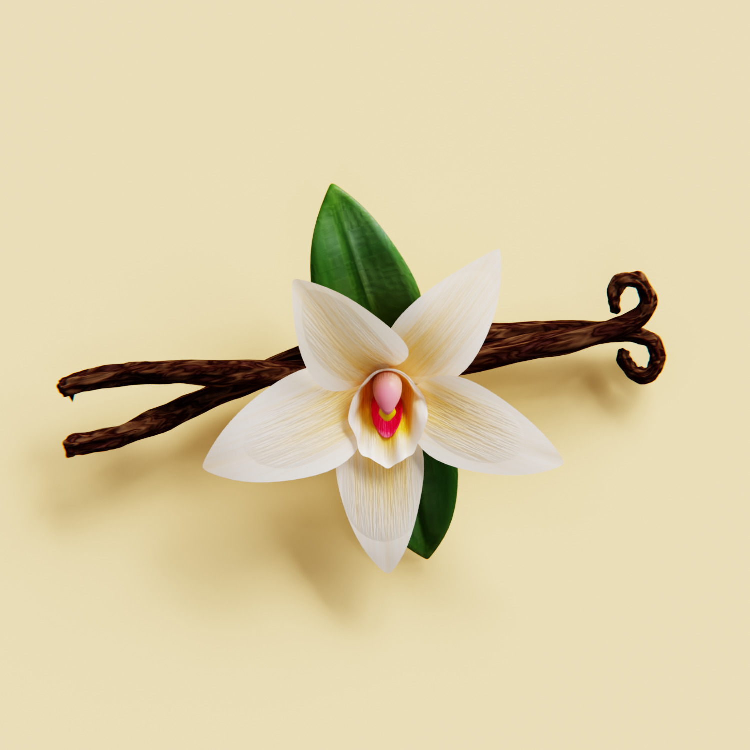 Realistic Vanilla Flower 3D model_1