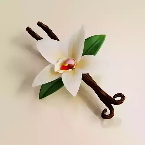 Realistic Vanilla Flower 