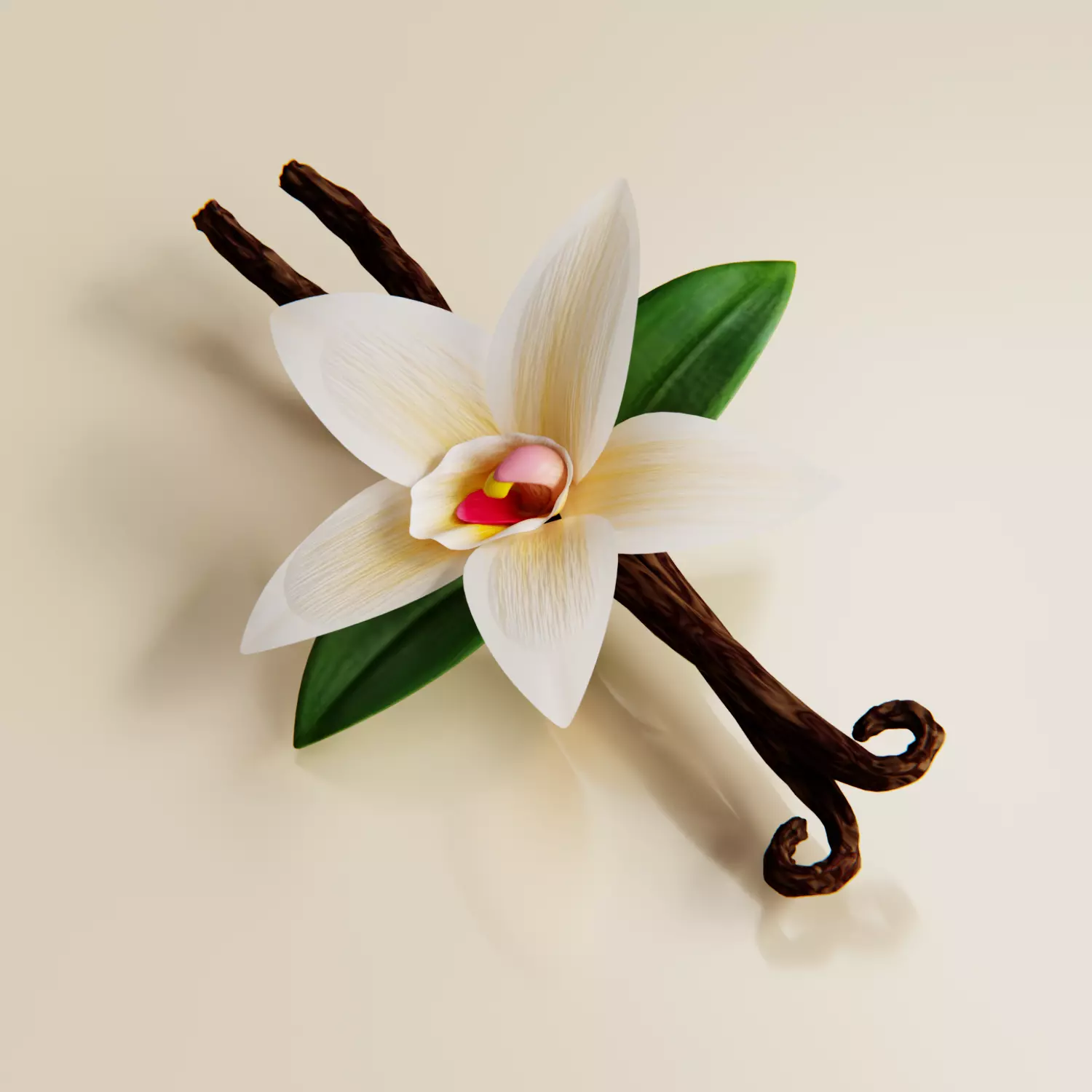 Realistic Vanilla Flower 3D model_0