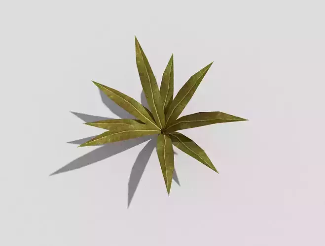 Low poly Plant
