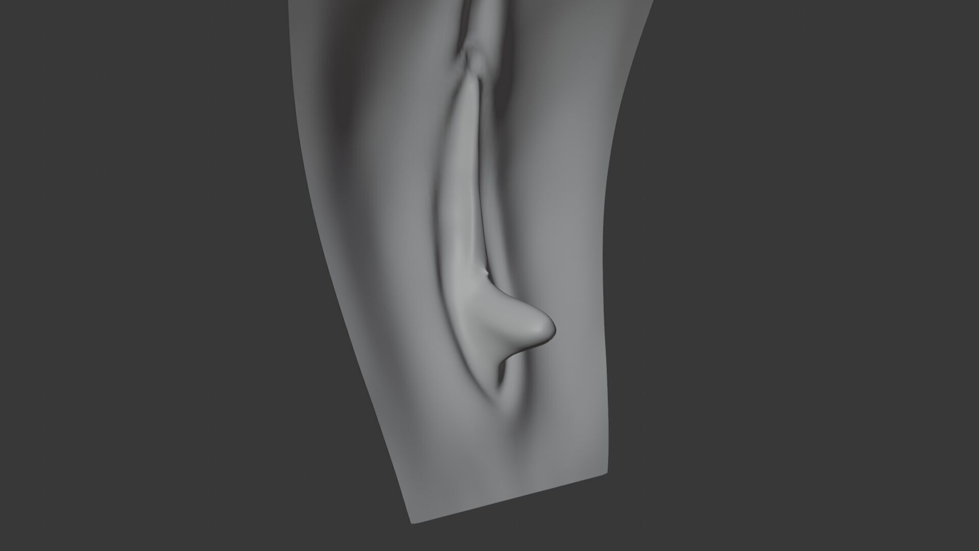 Female Anatomy Low-poly 3D model_6