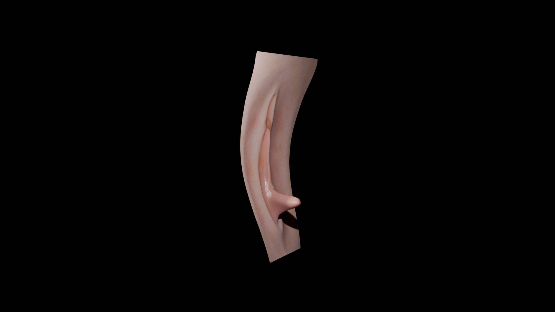 Female Anatomy Low-poly 3D model_4