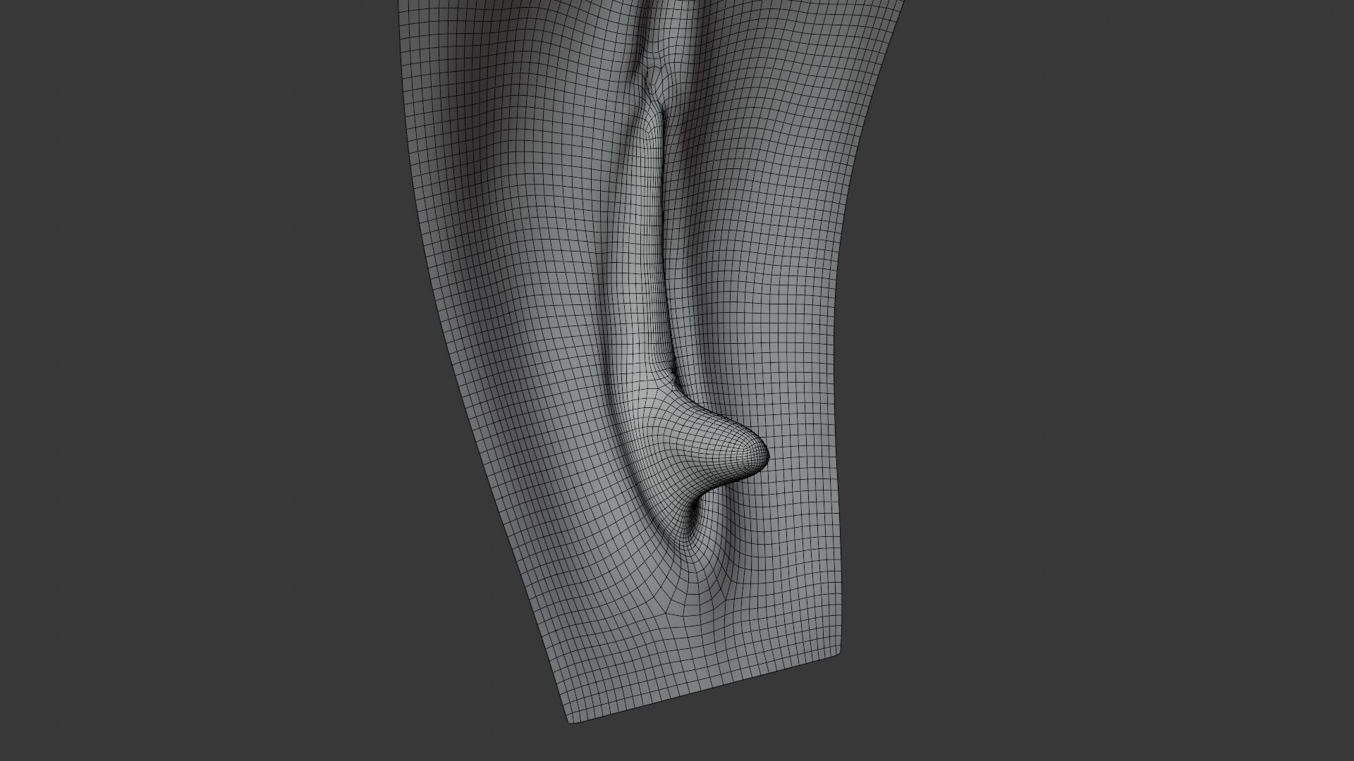 Female Anatomy Low-poly 3D model_8