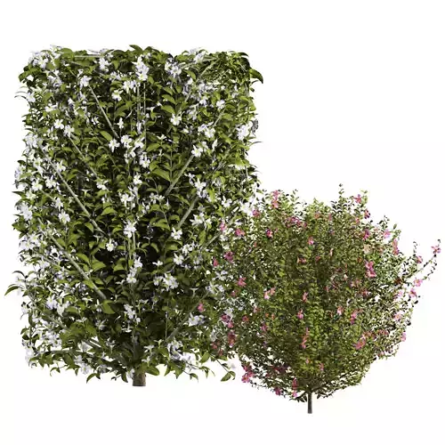 bush tree plants set
