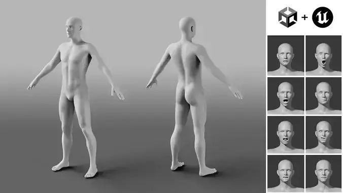 Male Basemesh with Morphs Low-poly 3D model