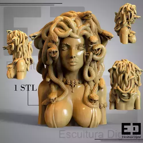 medusa 3D print model