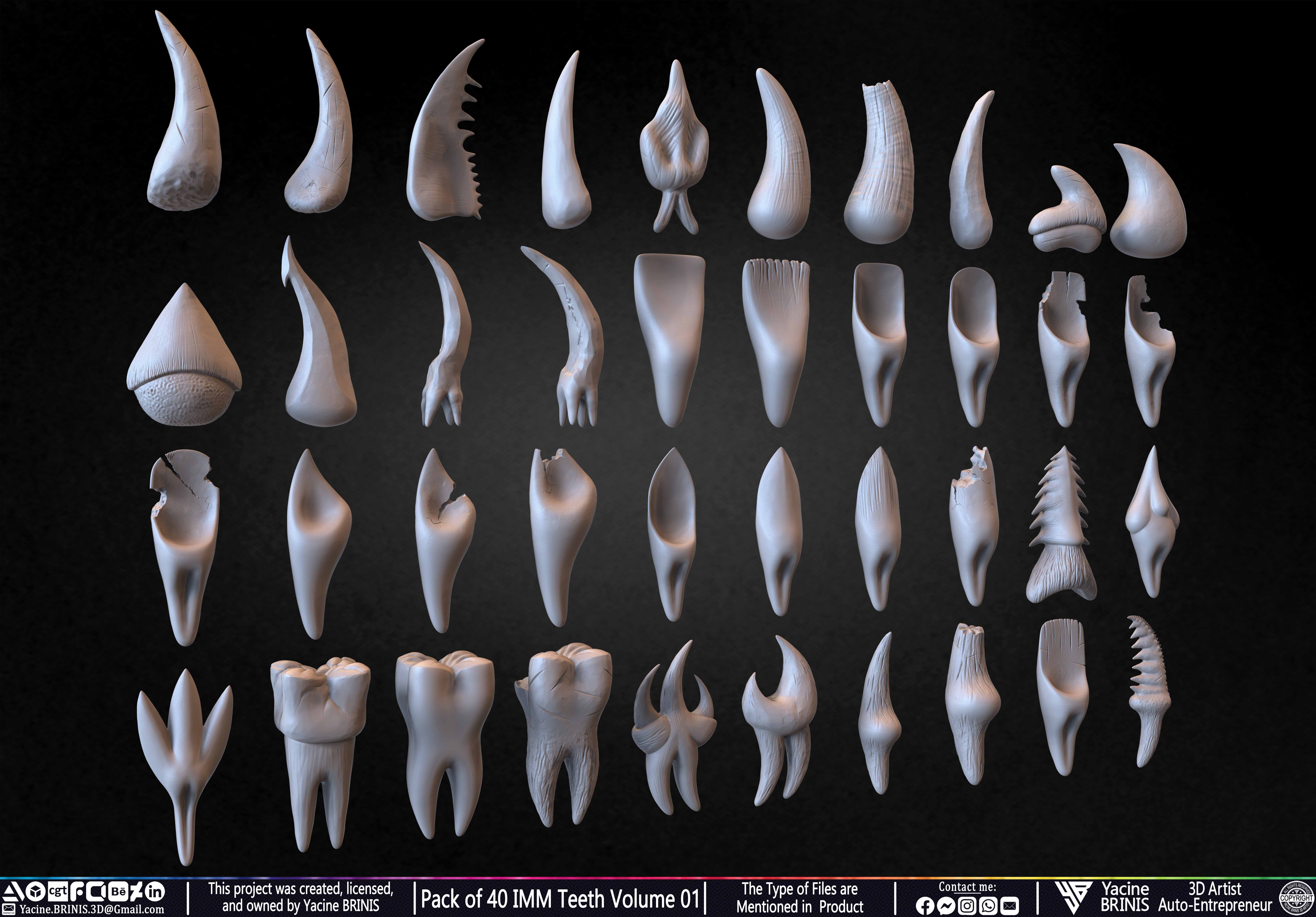 Pack of 40 IMM Teeth Volume 01 3D model_6