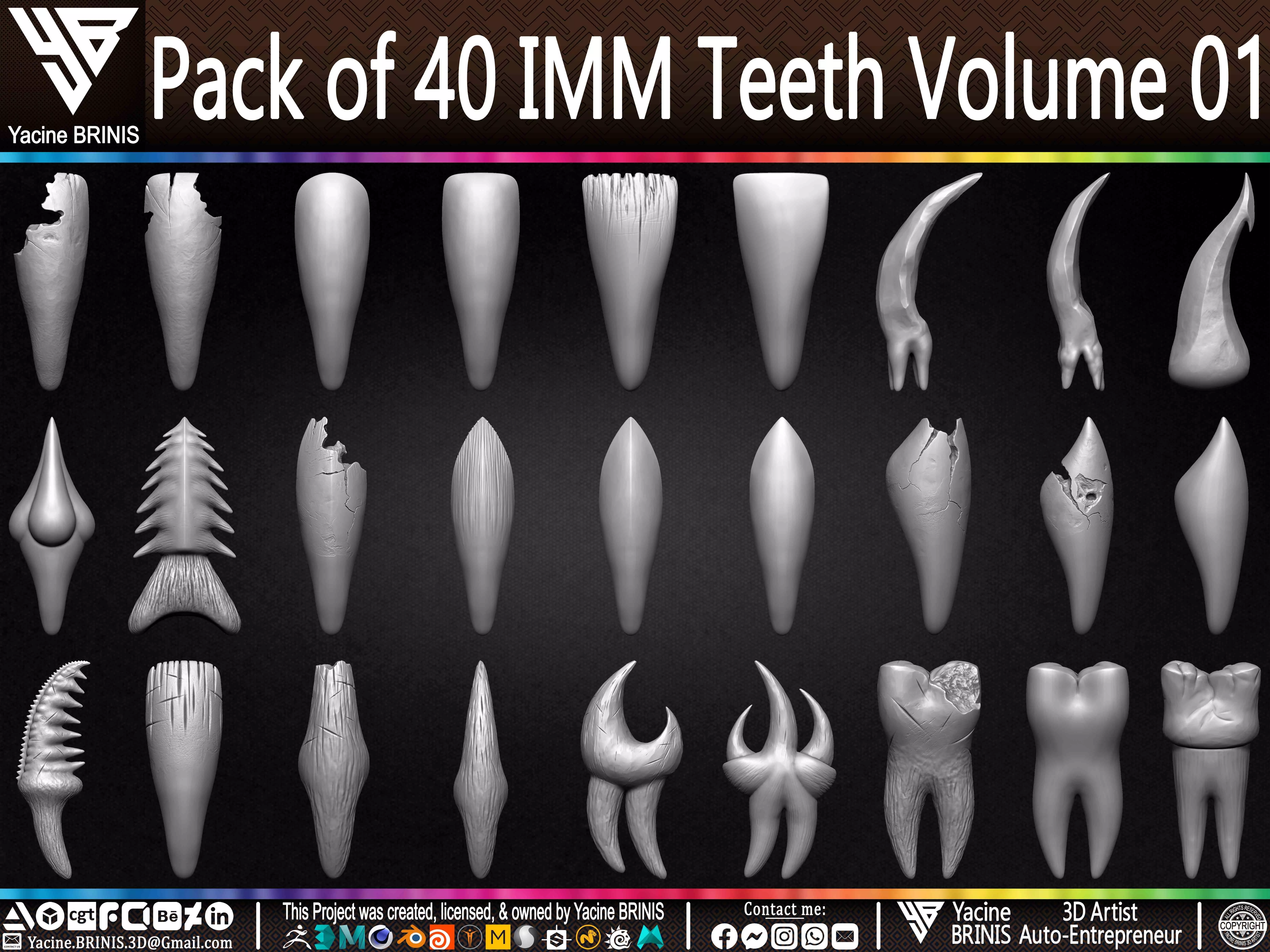 Pack of 40 IMM Teeth Volume 01 3D model_0
