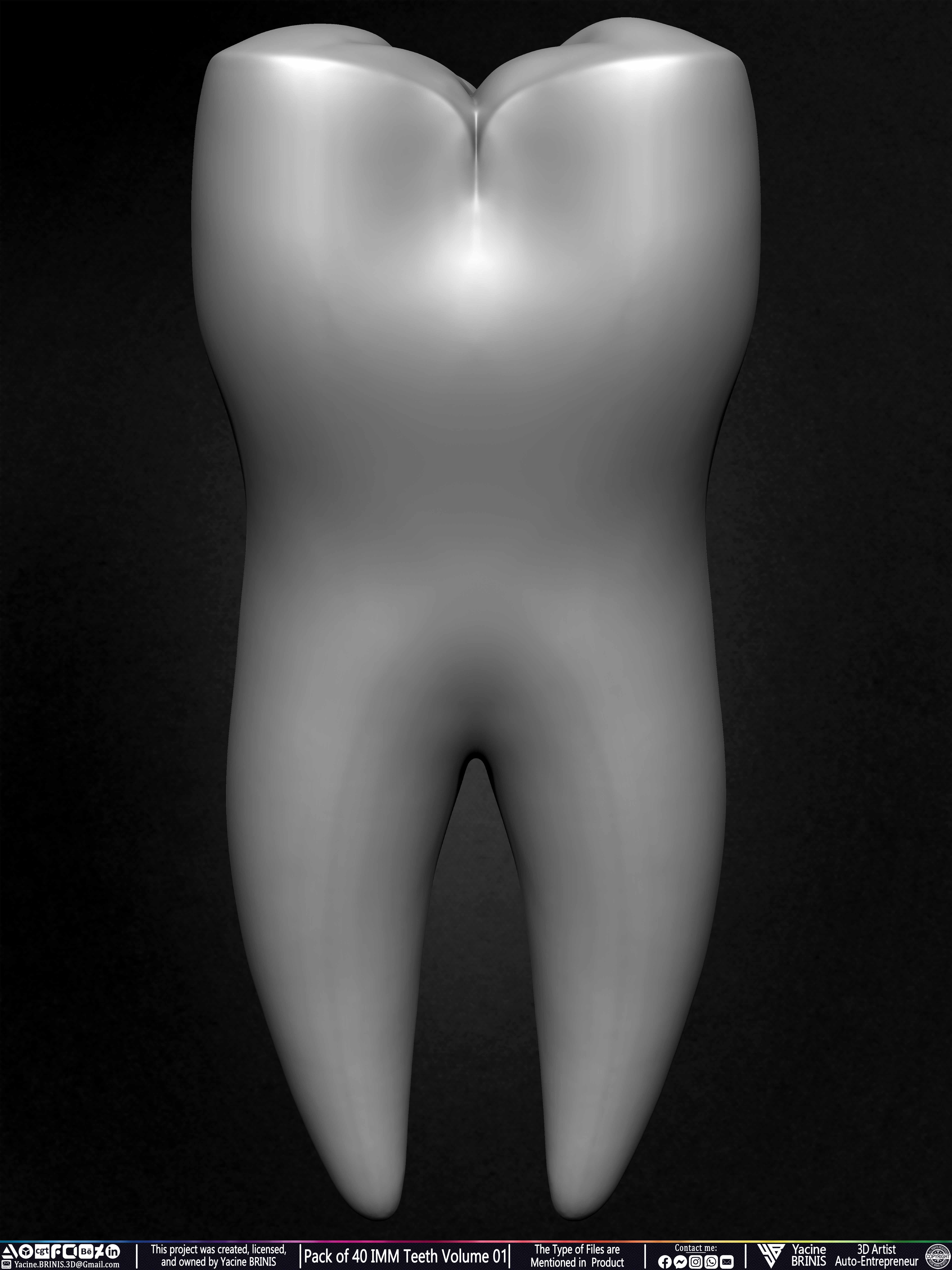 Pack of 40 IMM Teeth Volume 01 3D model_42