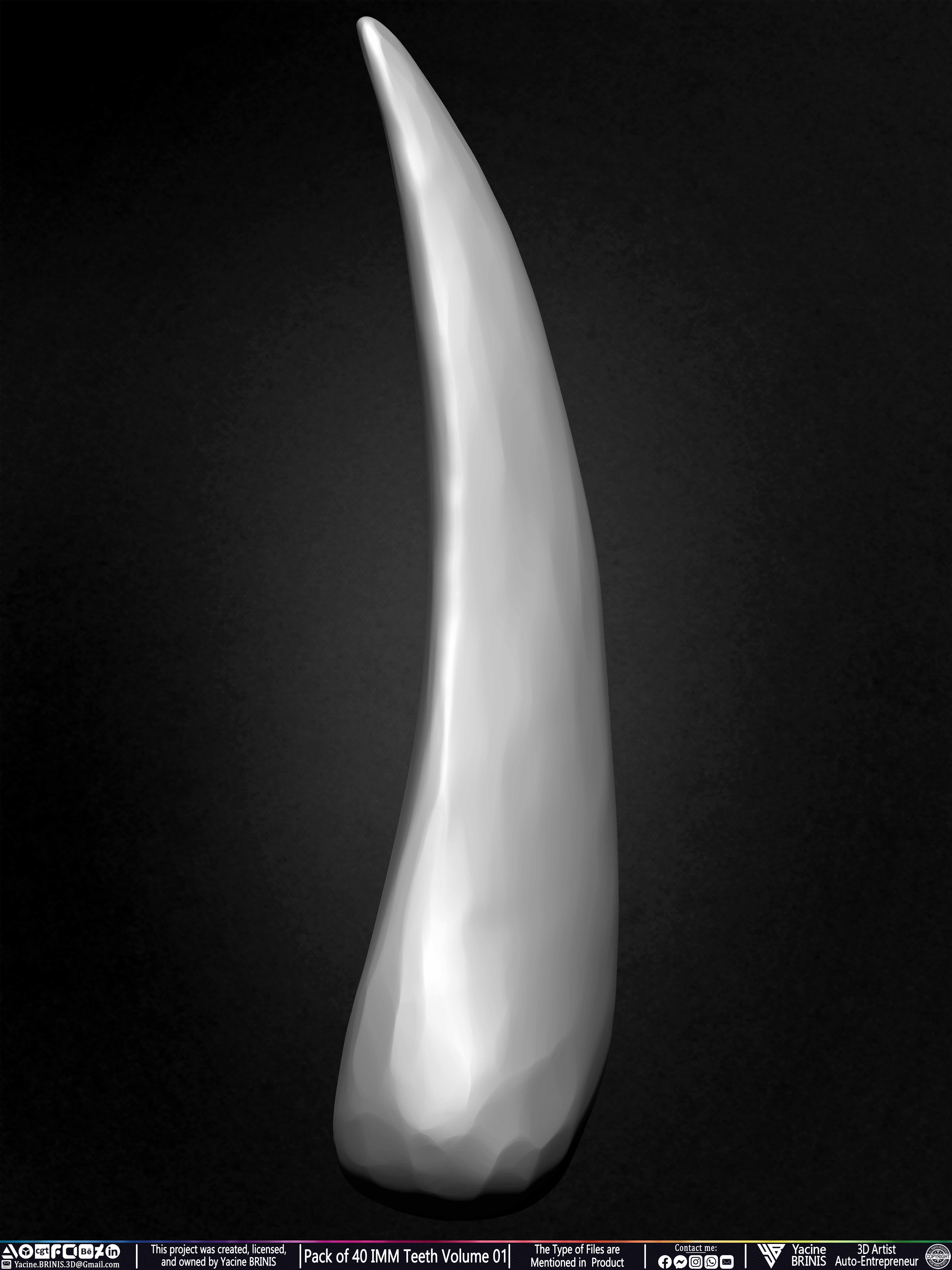 Pack of 40 IMM Teeth Volume 01 3D model_13